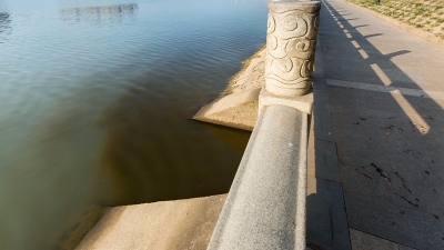 亲水公园附近疑似有污水排到梅江，死鱼漂浮河面，恶臭难闻