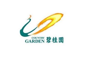 碧桂园1.36亿斩获平远商住地块