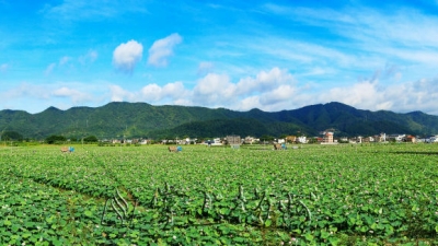 ​蕉岭三圳镇九岭村全力推进“三清三拆三整治”工作