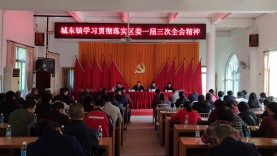 城东镇传达学习贯彻落实区委一届三次全会精神