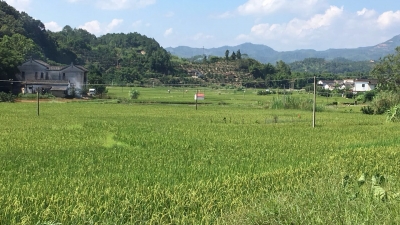 刘洪盛率队到梅县区检查新农村建设工作