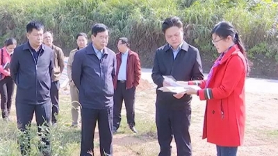 陈伟明深入蓝坊镇调研 提出了这几个“要”