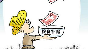 村干部虚报面积领种粮补贴？回应：用于村集体支出了