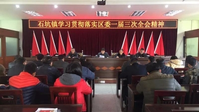 石坑镇召开会议 学习贯彻落实区委一届三次全会精神