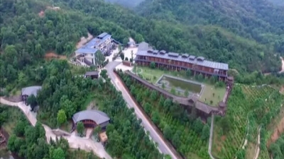 区长张运全率队到南寿峰健康产业园调研在建项目