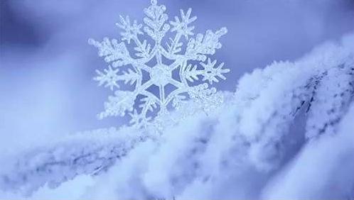 新冷空气今日“到货”  全省平均气温下降3℃—4℃