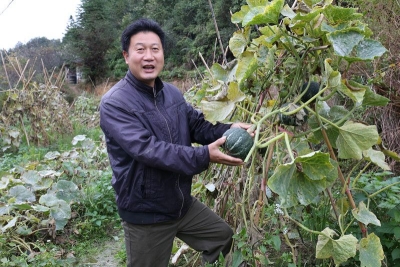 可其山种养专业合作社引入甜粟南瓜走俏市场