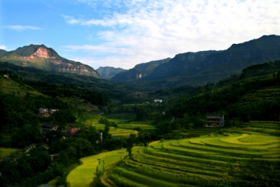 梅江三角镇打造“一村一品”，让乡村更美更富