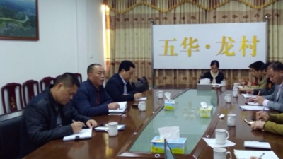 傅国强到龙村镇督促检查指导精准扶贫精准脱贫迎检工作