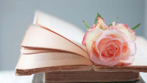 书香溢满校园！大埔小学开展“书香校园”活动