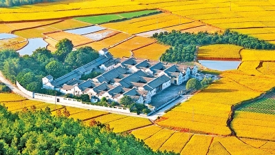 梅县区激发“三农”活力  打造客韵乡村