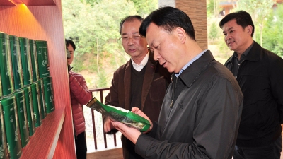 谭君铁到梅县区调研特色小镇建设工作强调：紧盯特色产业不偏移 弘扬工匠精神铸精品