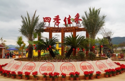 资讯丨梅县区四季佳禾18日至31日举办草莓采摘节