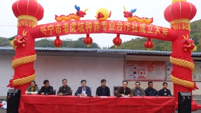 兴宁老虎坑种养专业合作社成立，助力传统农业转型升级