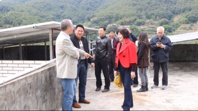 中国华能集团公司到大东镇进滩村开展扶贫调研