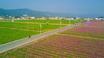蕉岭县九岭村在乡村振兴路上成新农村建设取经地