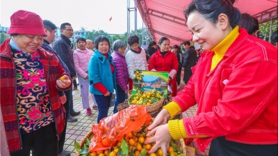 摘金桔、赏枫叶、品冬笋…蕉岭启动第五届长寿文化旅游活动月