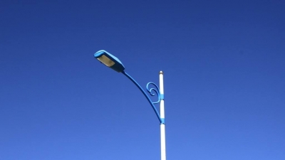 让显朝村道路更亮堂！省狮子会一行捐资装太阳能路灯