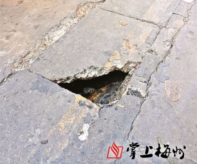 时评丨引入“民生微实事”模式服务“大民生”