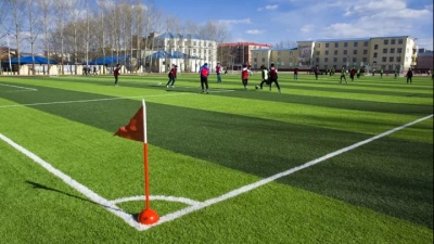 第二批省级校园足球推广学校名单公布，丰顺7所入选