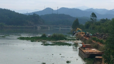 半个月清理水浮莲逾万亩！梅州吹响水环境治理集结号