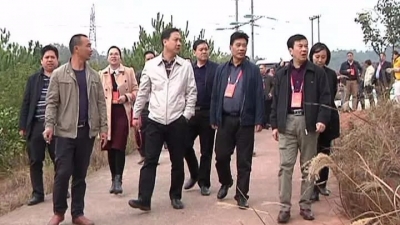 平远城乡养猪业污染整治工作进展如何？跟着县人大代表看看去