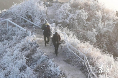 不要再吐槽广东没有冬天了，今天这里都下雪了！高清雪景靓图请收好！