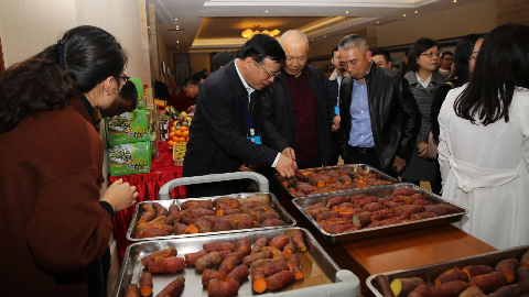 第十三届中国农村发展论坛上，这些丰顺“山货”让专家学者赞不绝口