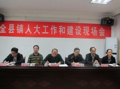 大埔召开全县镇人大工作和建设现场会