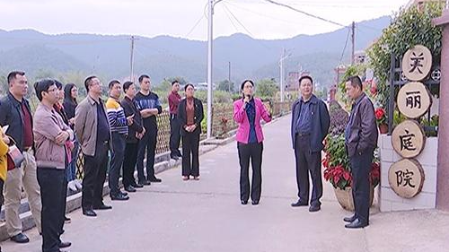 蕉岭县召开党建引领力促乡村振兴发展工作现场会