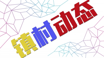 双华镇大力宣传“河长制”工作 