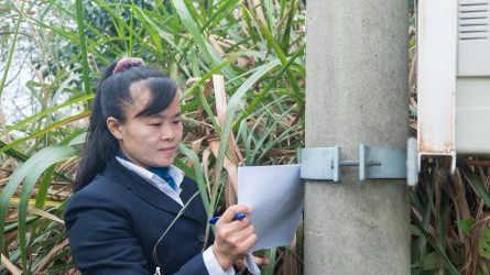 “一岗多职”的电力铿锵玫瑰——记兴宁供电局宁中供电所女班长杨惠玲