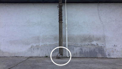 危险！梅江区城北镇古洲村电杆可能随时倒下