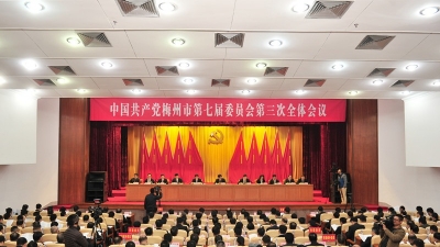 市检察院党组召开会议贯彻市委七届三次全会精神