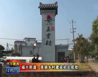美丽乡村初见成效  兴宁五里村举行“广东名村”揭幕仪式