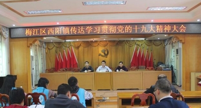 梅江区西阳镇深入学习全面领会切实贯彻党的十九大精神