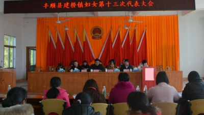 建桥镇召开妇女第十三次代表大会