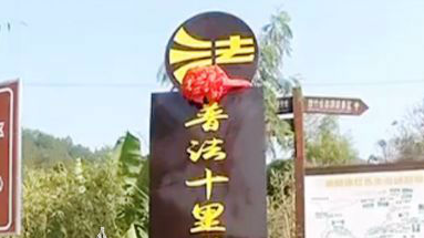 大埔茶阳茅坪村“普法十里长廊”已正式开放
