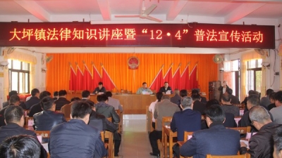 大坪镇开展法律知识讲座暨12.4普法宣传活动