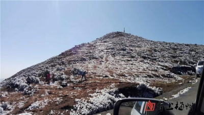 美呆啦！丰顺八乡鸿图嶂“下雪”了！