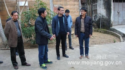 市测评组到三角镇开展城乡环境综合整治测评工作