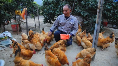 “后进村”变身“先进村”！丰顺新兴村以精准党建促精准扶贫