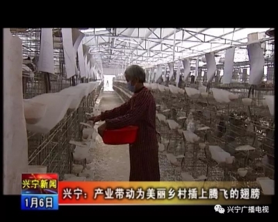 兴宁产业带动  为美丽乡村插上腾飞的翅膀