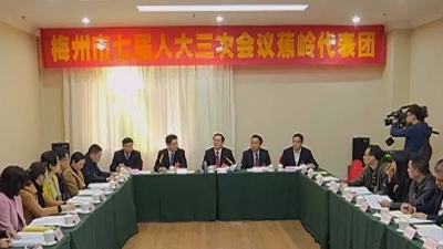 黄建固、温向芳参加市七届人大三次会议分组讨论