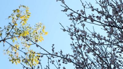 童心妙笔丨我的“小生活”