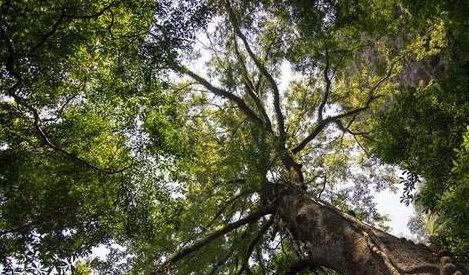 教育周刊丨叔叔的“金山”