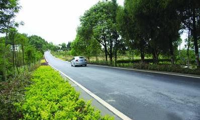 好消息！梅县区获评省第二批“四好农村路”示范县