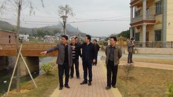 王忠泽到岐岭镇荷梅村调研指导工作