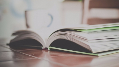 芳草地丨卓紫珊作品——《以书为友》