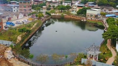 金山街道推进人居环境整治工程 月梅草塘片环境变美